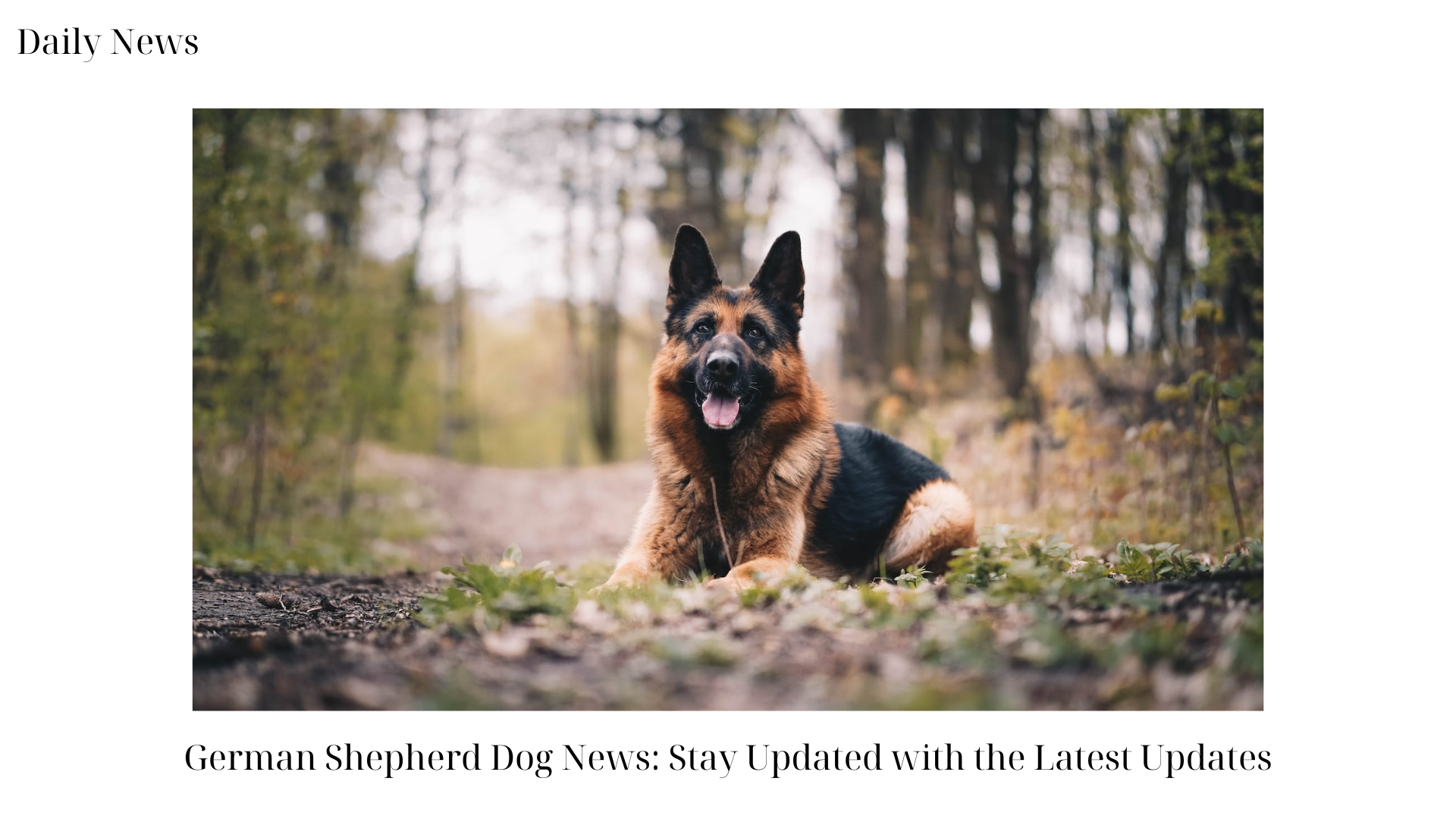 German Shepherd Dog News Stay Updated with the Latest Updates