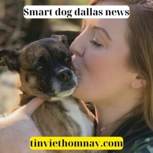 smart dog dallas news