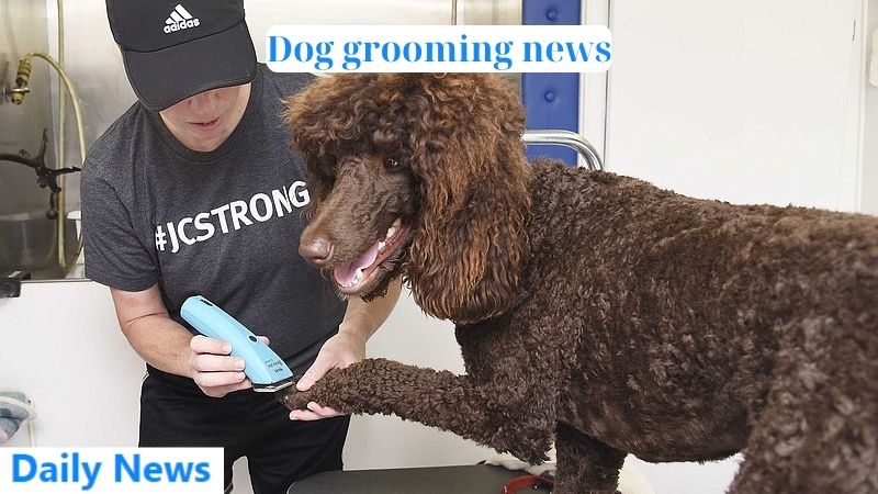 Dog grooming news