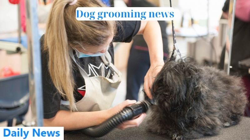 Dog grooming news
